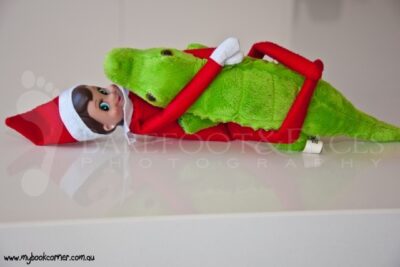 Elf on the Shelf Ideas - My Book Corner