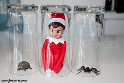 Elf on the Shelf Ideas - My Book Corner