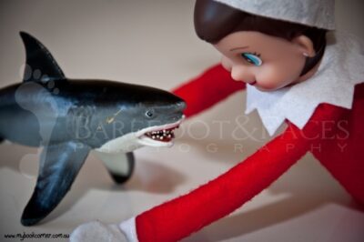 Elf on the Shelf Ideas - My Book Corner