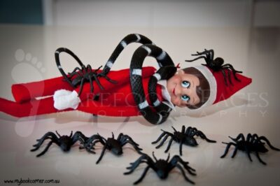 Elf on the Shelf Ideas - My Book Corner