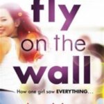 Fly On The Wall - E Lockhart