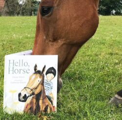 hellohorse
