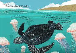 wetravelsofar-turtles