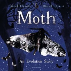 moth