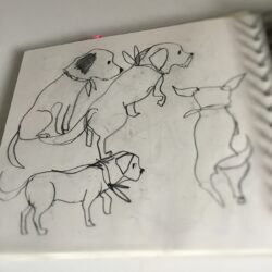 Perdusketchbook