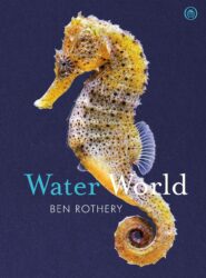 WaterWorld