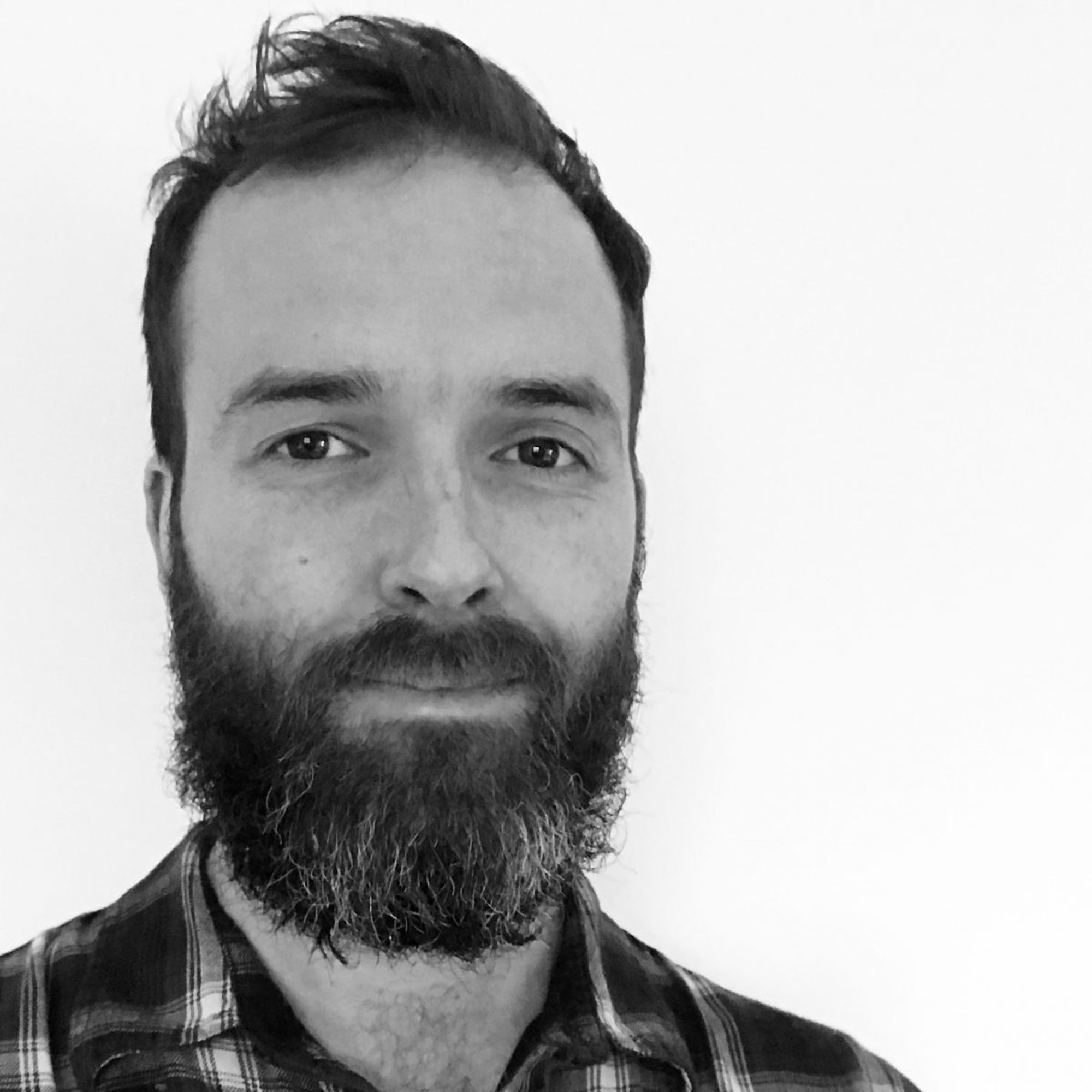 Meet the Illustrator: Stephen Collins