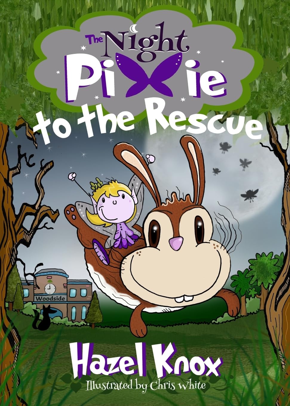 The Night Pixie To The Rescue by Hazel Knox illustrated by Chris White