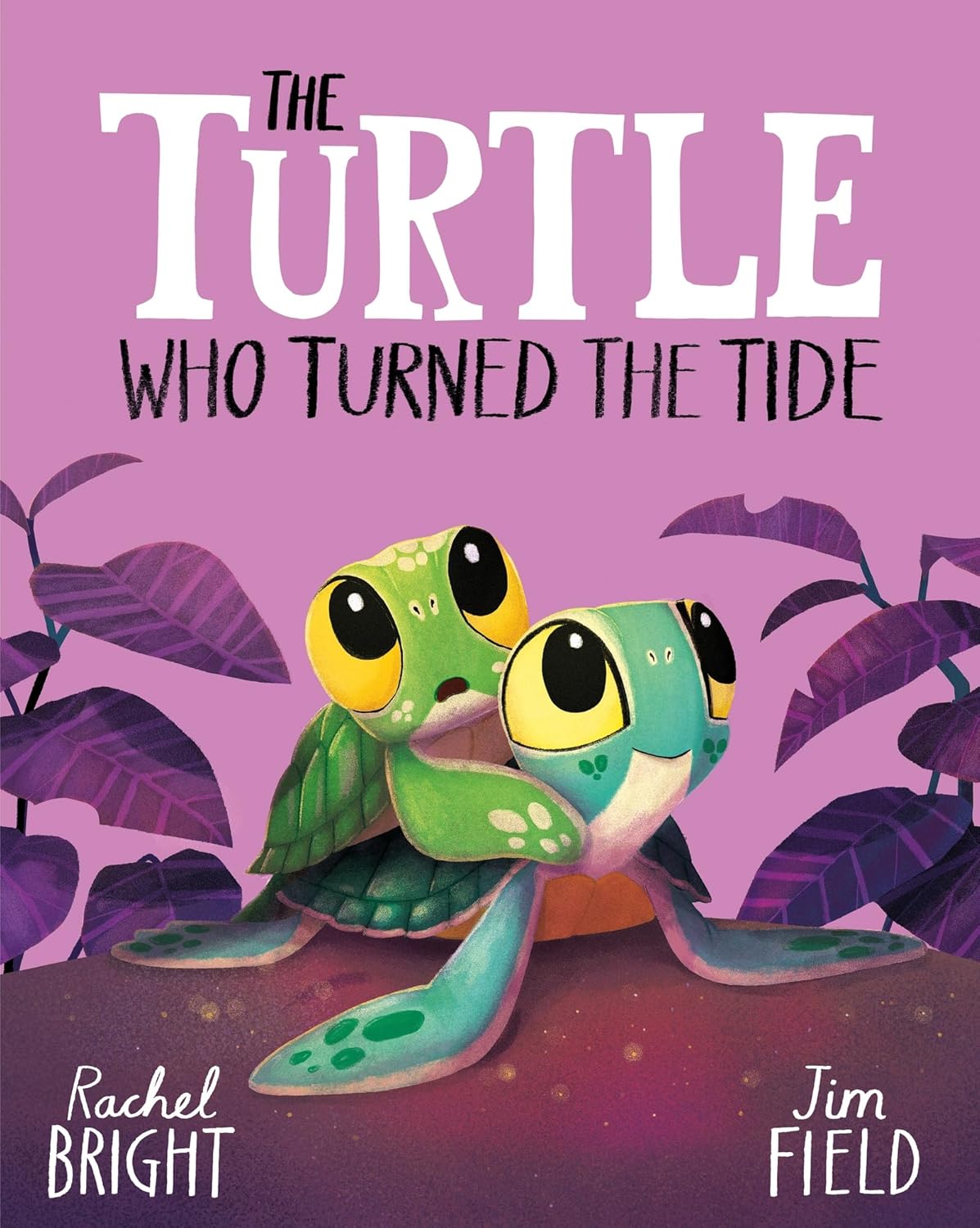 The Turtle who Turned the Tide by Rachel Bright, Illustrated by Jim Field